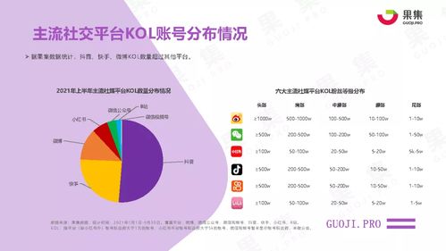 2021年上半年社交電商行業(yè)分析報(bào)告 基于果集數(shù)據(jù)與互聯(lián)網(wǎng)數(shù)據(jù)的洞察